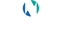  Newton